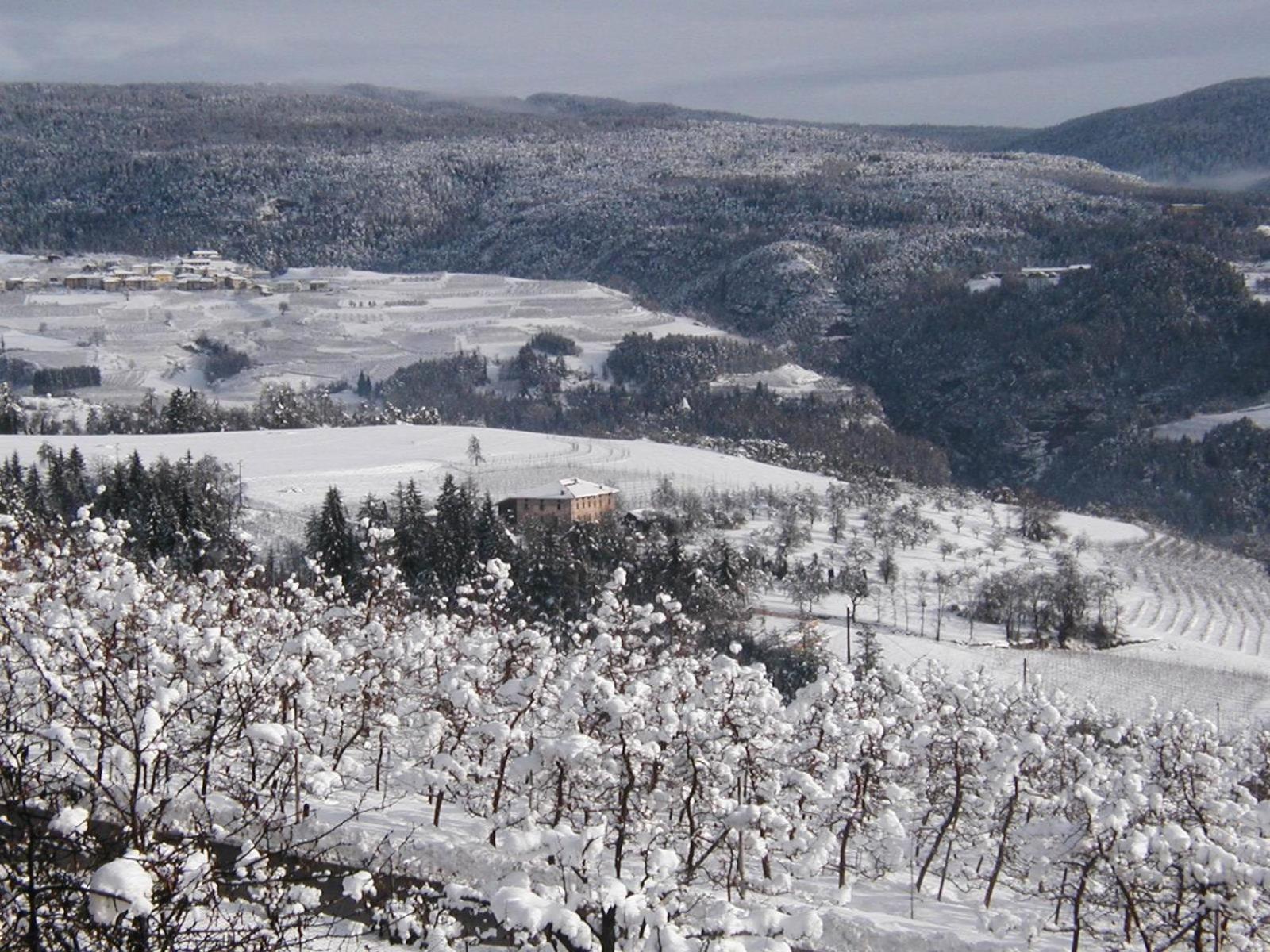 Locanda Alpina Brez Luaran gambar